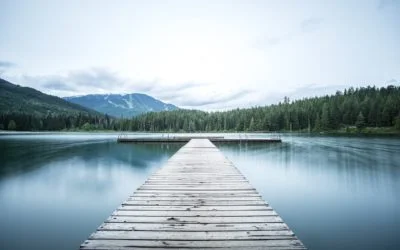 Data Lakes: The benefits and challenges