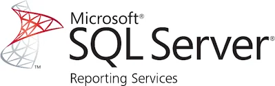 SSRS netezza logo 1