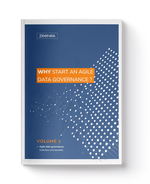 mockup-livre-volume-1-EN agile data governance white paper